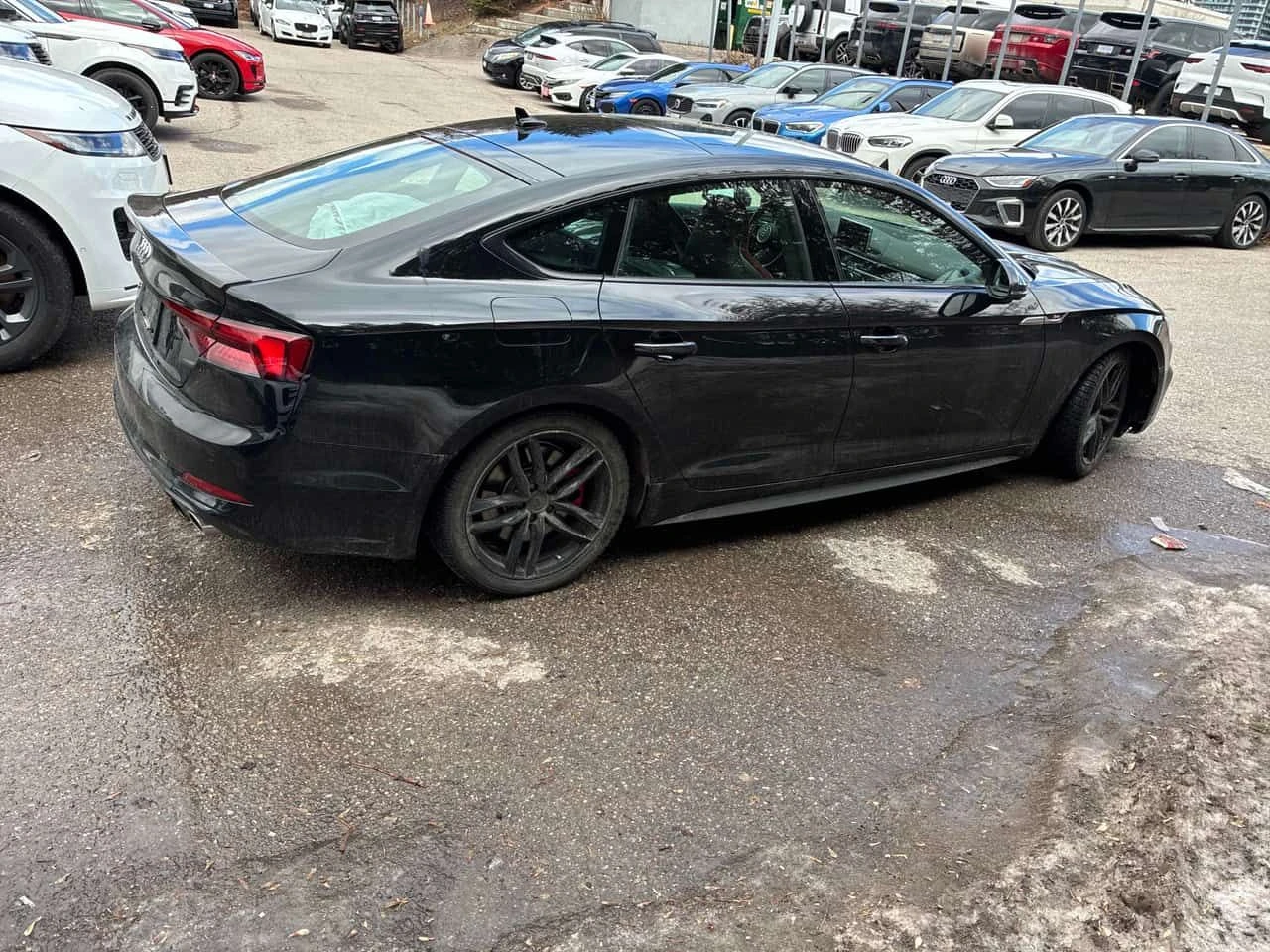 Audi S5 * Technik * Дистроник * 360 Камери + Гуми с джанти, снимка 3 - Автомобили и джипове - 53828188