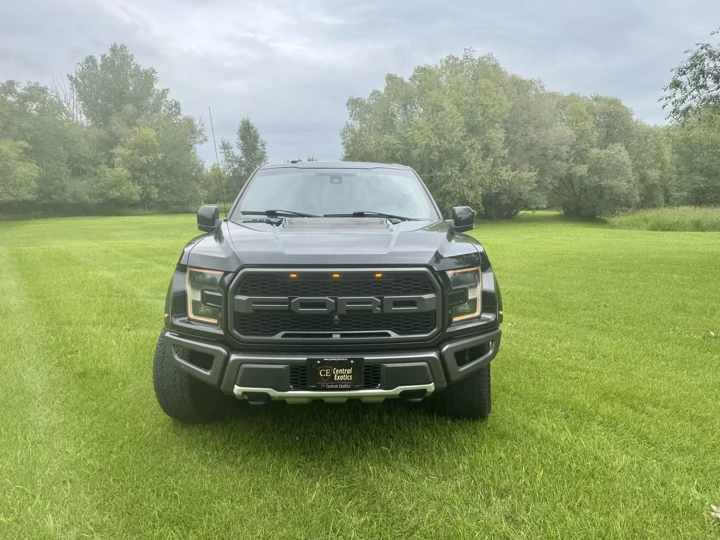 Ford F150 SUPERCREW/RAPTOR/ - изображение 3