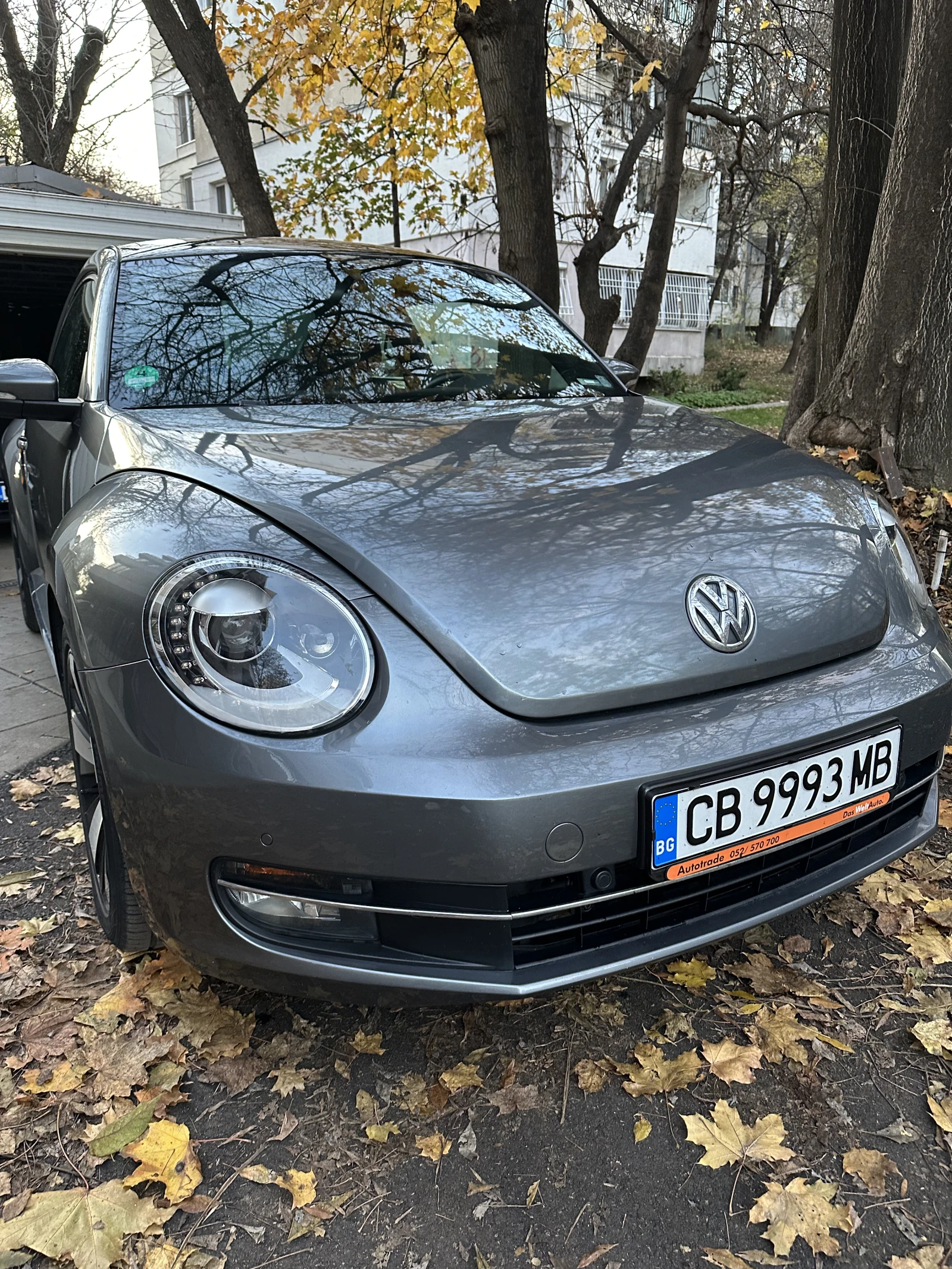VW New beetle 1.6 Cup Edition | Mobile.bg   13