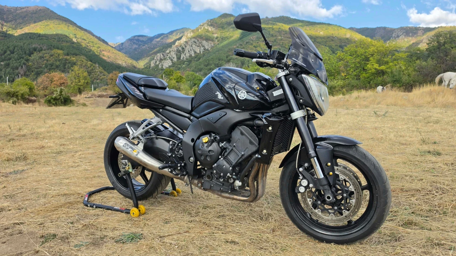 Yamaha FZ1