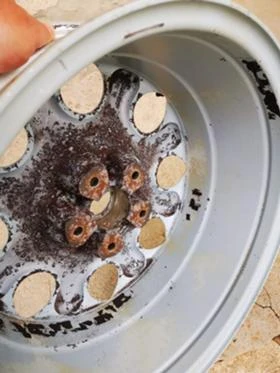 Джанти за Alfa Romeo, снимка 3