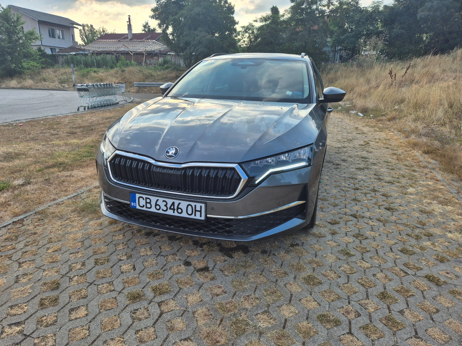 Skoda Octavia BUSINESS
