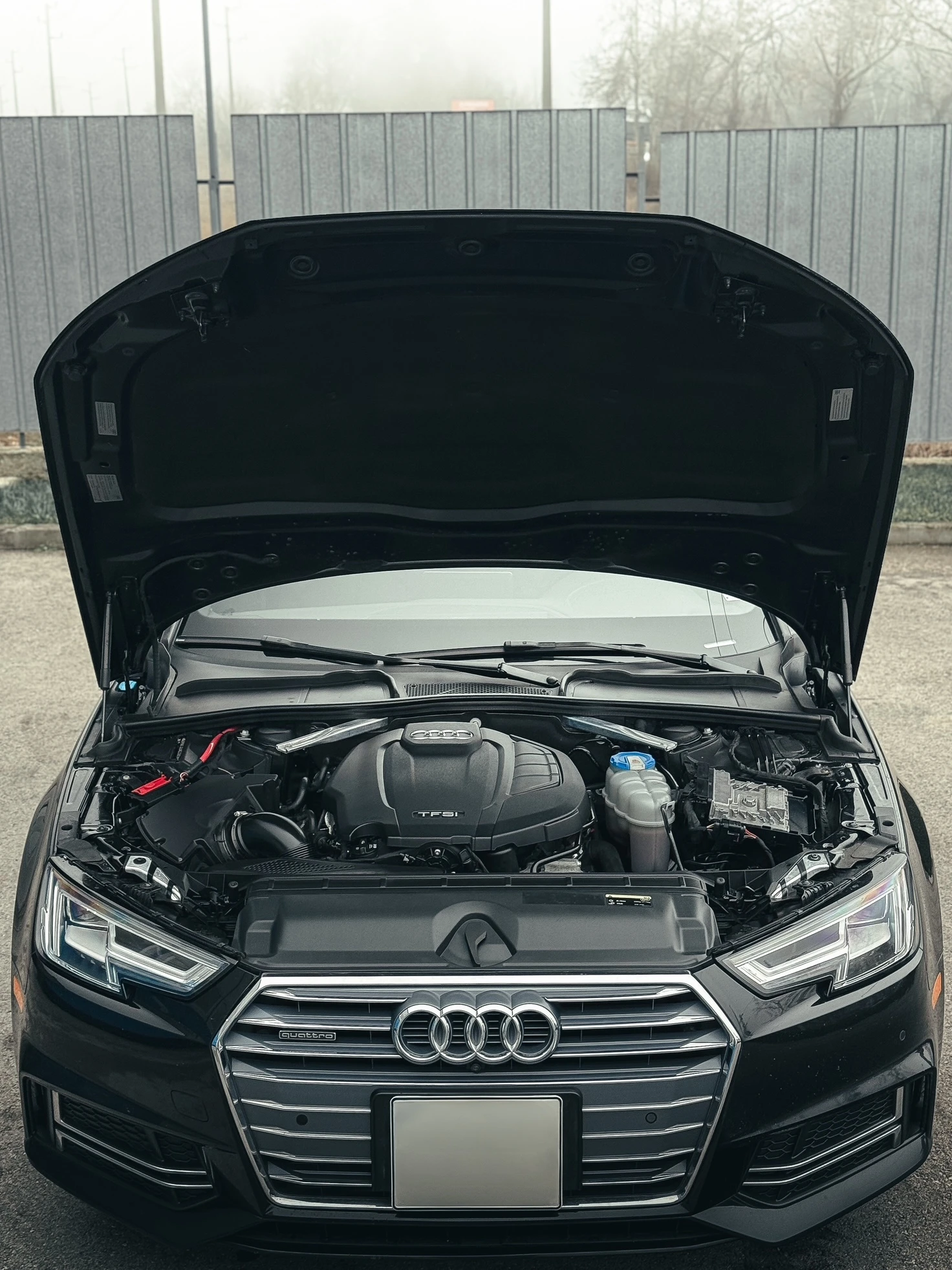 Audi A4 S-line premium quattro 252 к.с. - изображение 6