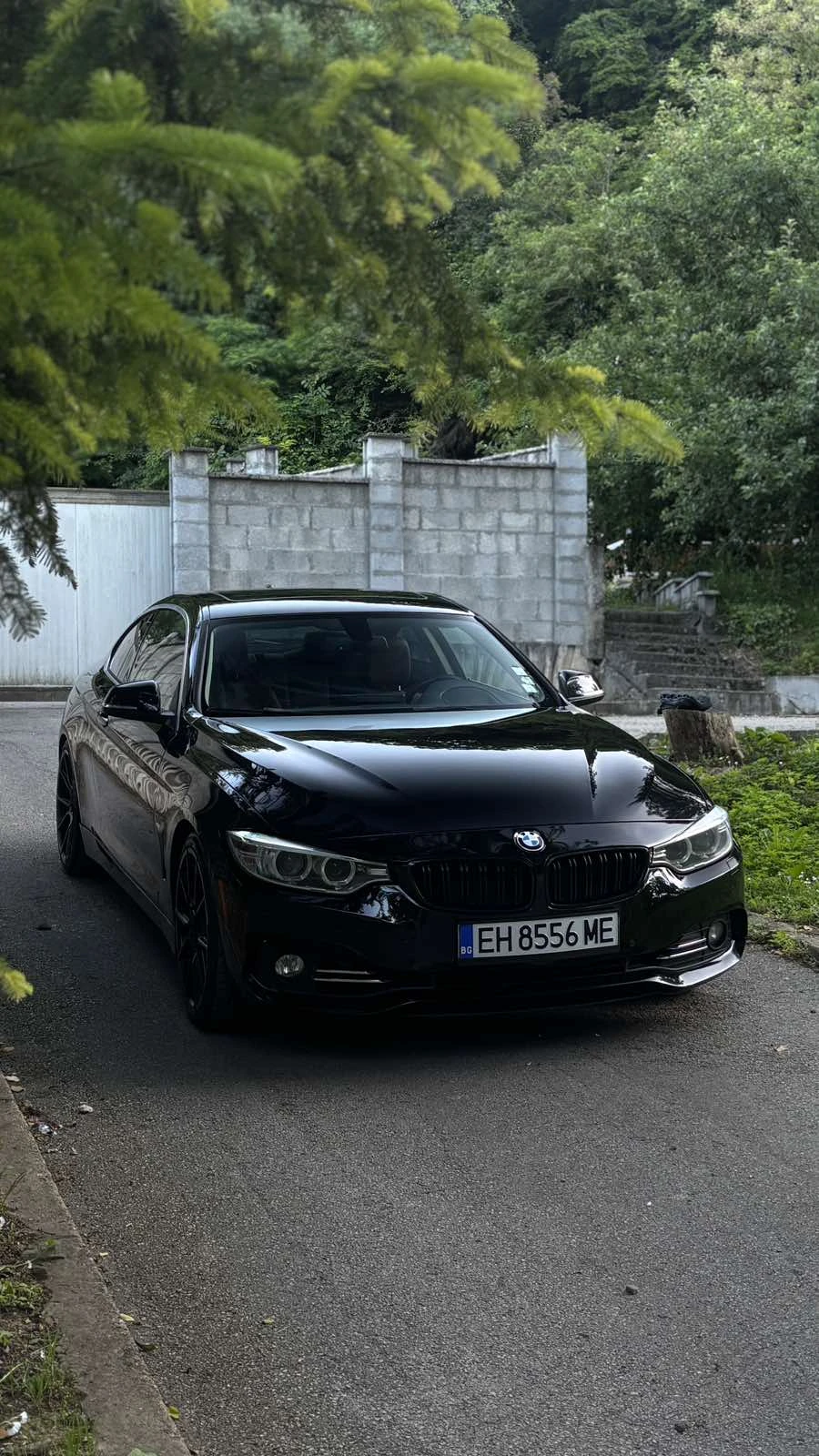 BMW 435 LUXURY LINE, снимка 12 - Автомобили и джипове - 54744413