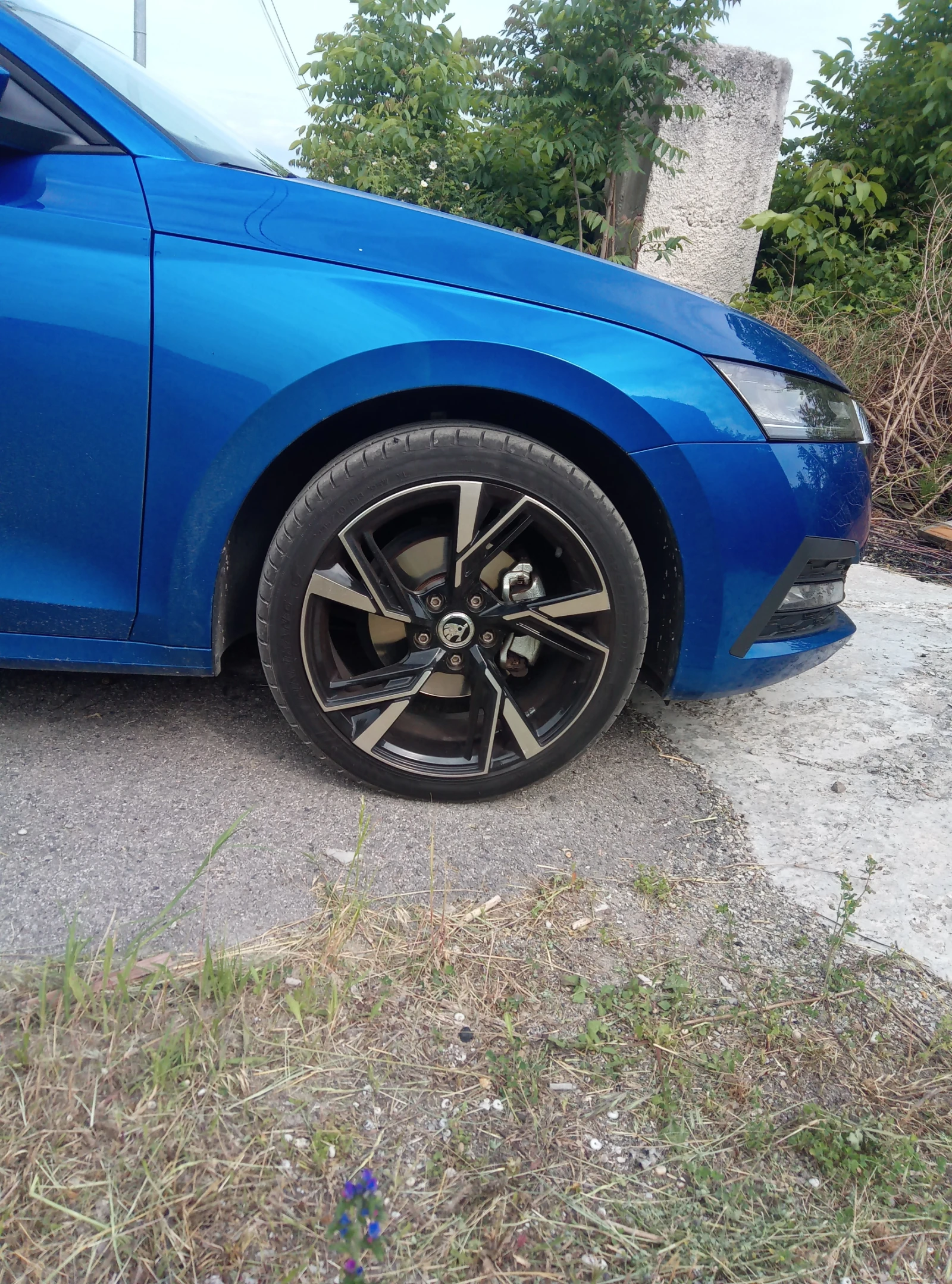 Skoda Octavia, снимка 17 - Автомобили и джипове - 56647754
