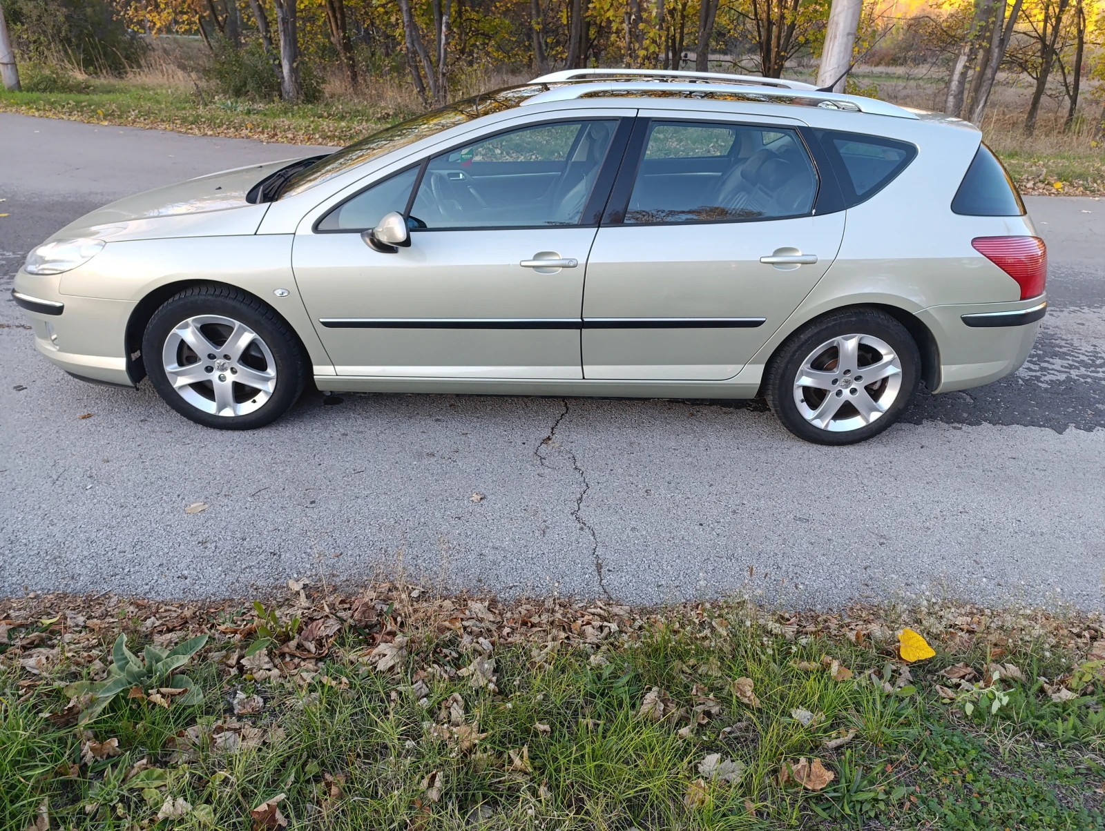 Peugeot 407 2.2, снимка 1