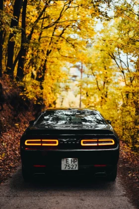 Обява за продажба на Dodge Challenger 5.7 Hemi / RT ~56 400 лв. - изображение 4 | Auto.bg Обява за продажба на Dodge Challenger 5.7 Hemi / RT ~56 400 лв. - изображение 4