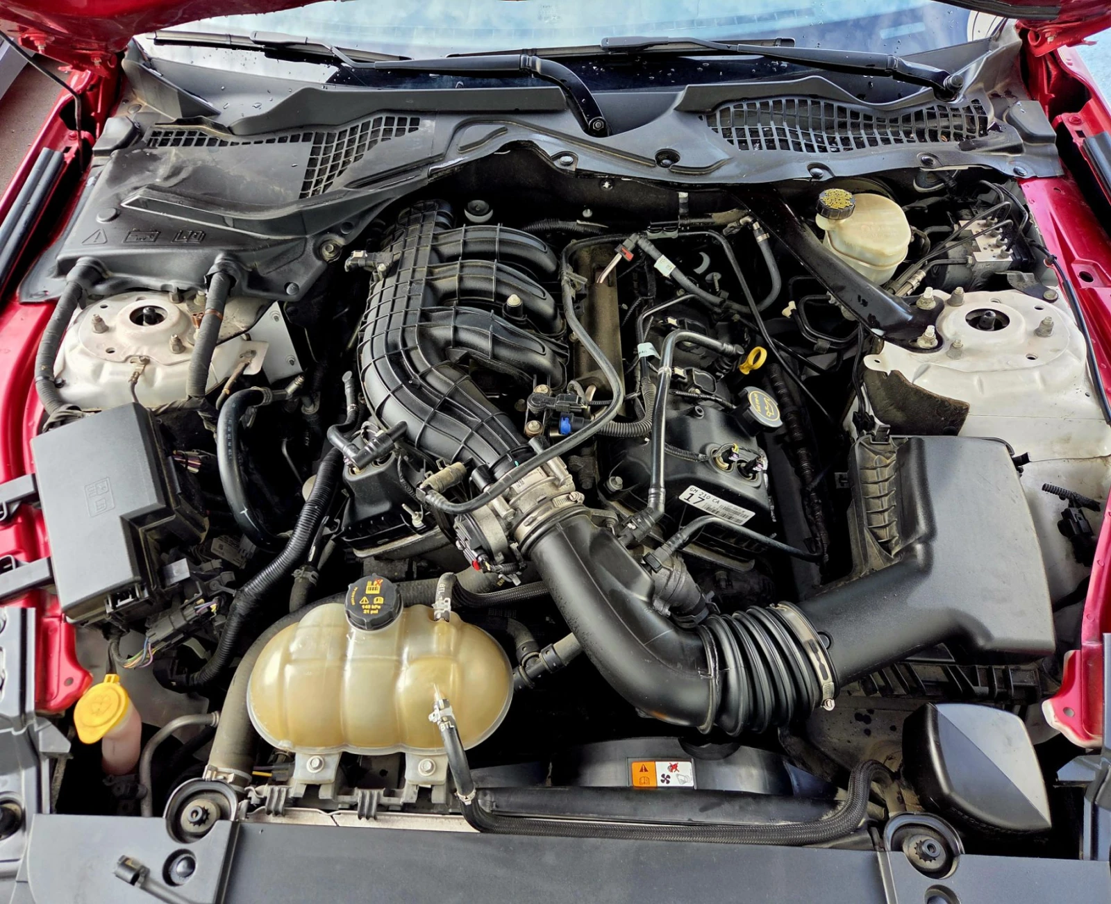 Ford Mustang Convertible, снимка 14 - Автомобили и джипове - 55218401