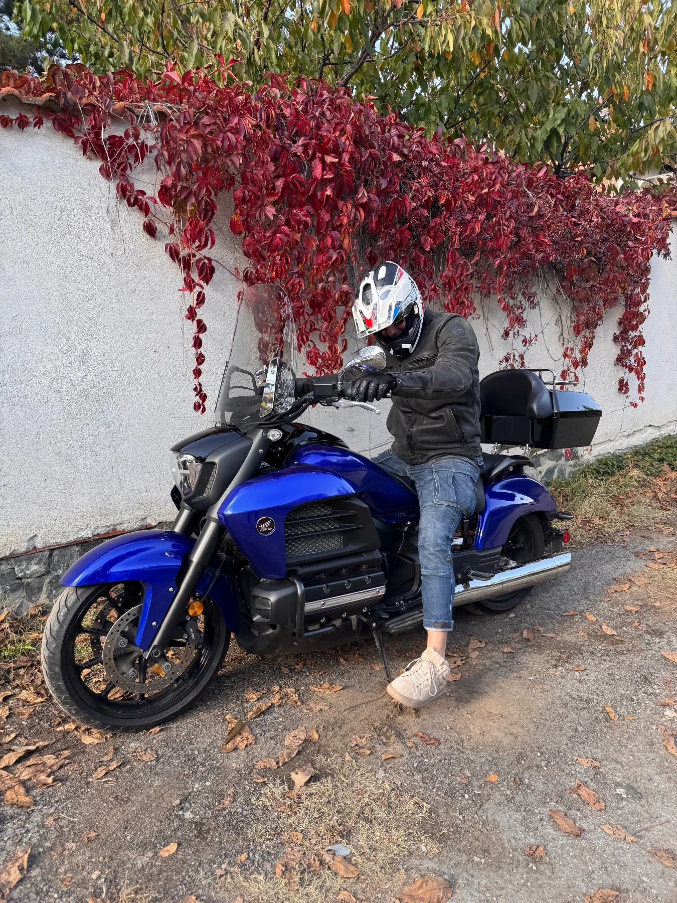 Honda Valkyrie 1800 - изображение 3