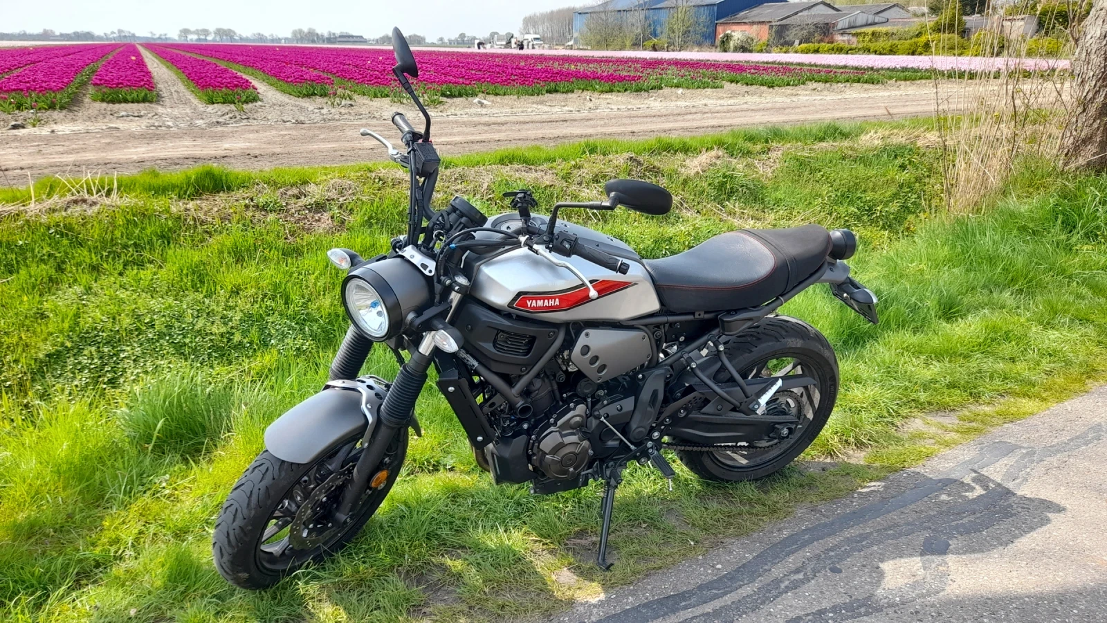 Yamaha XSR700, снимка 5 - Мотоциклети и мототехника - 54829779