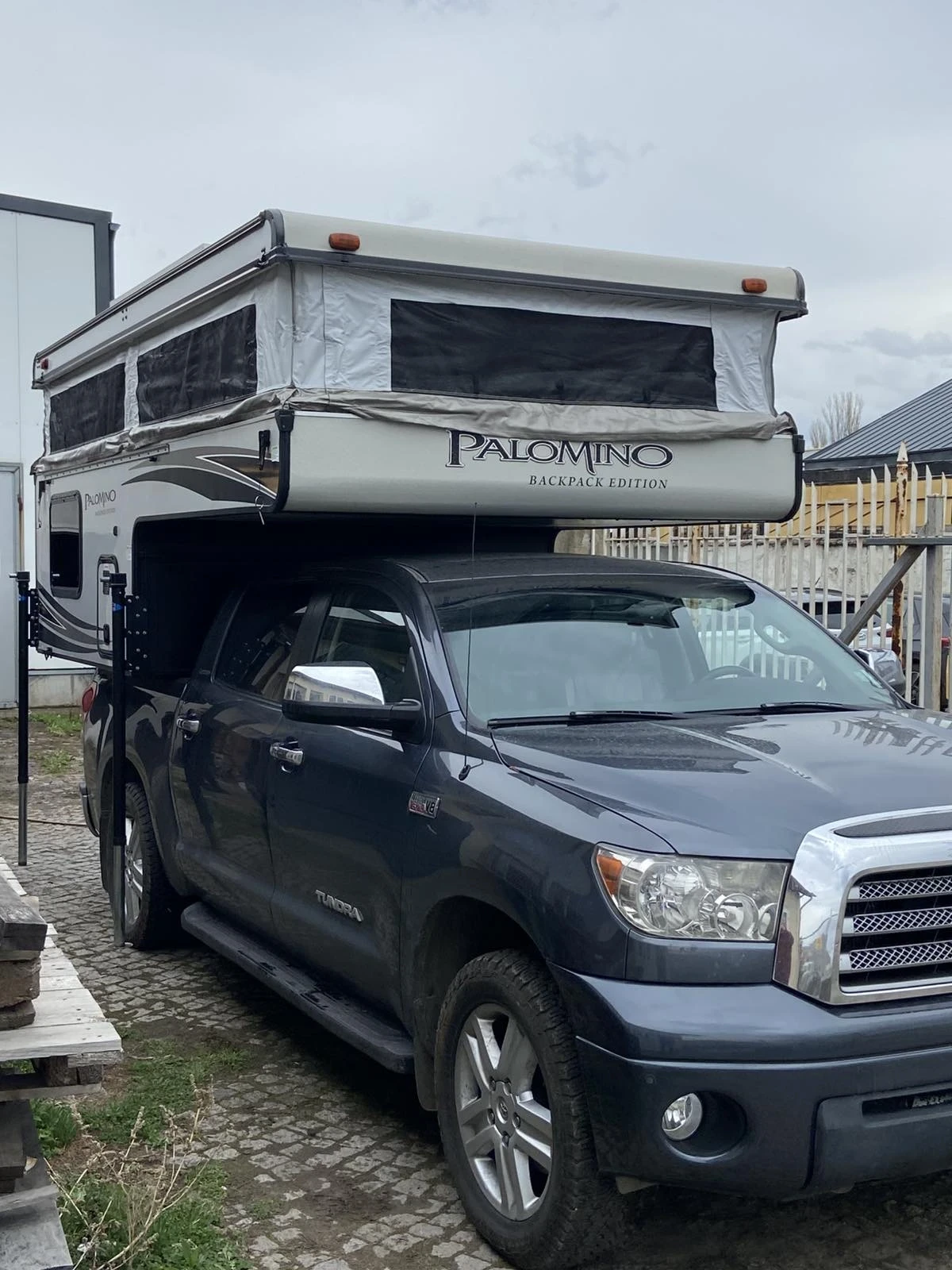 ������ Palomino | Mobile.bg � ����������� 6