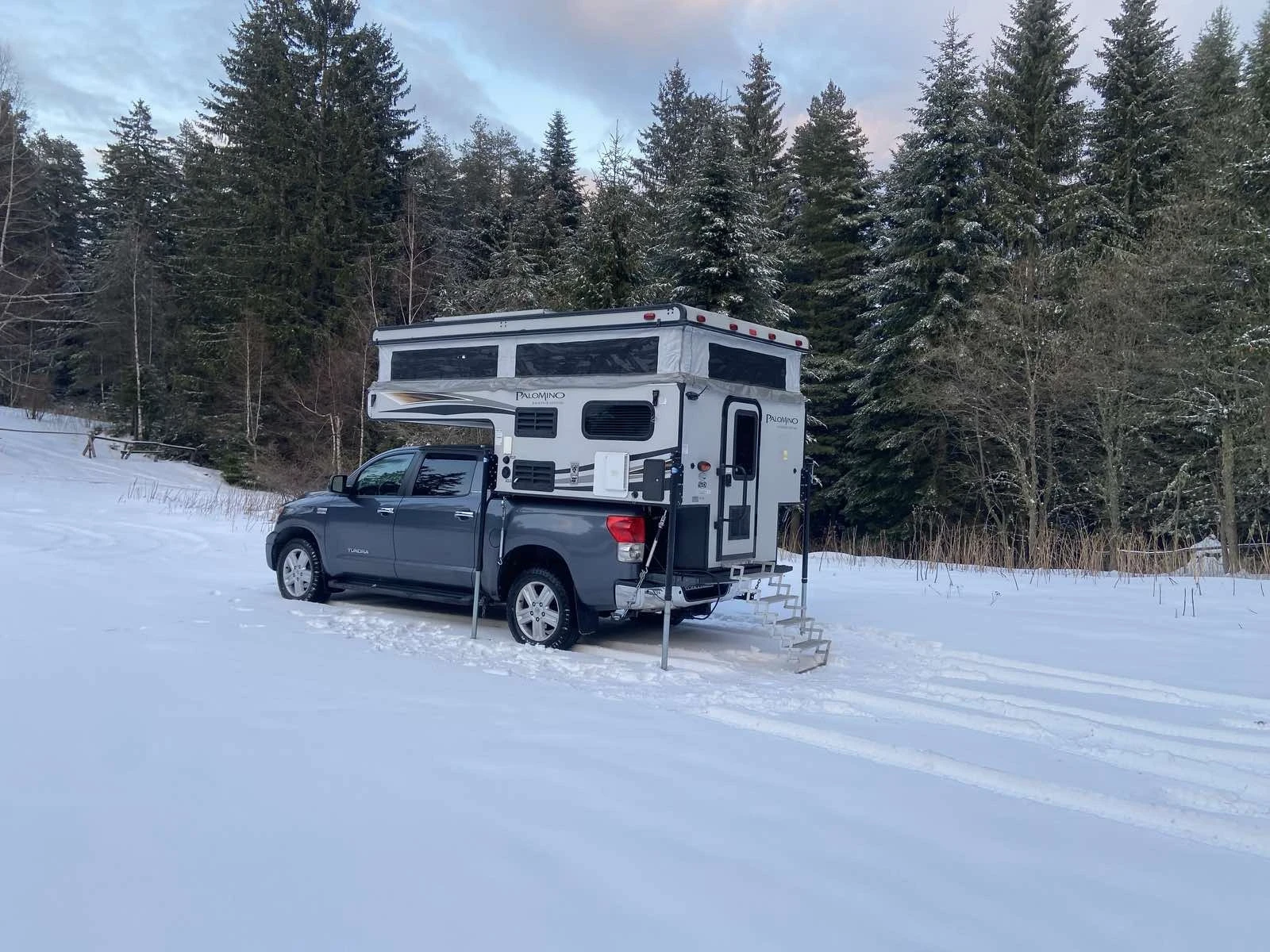 ������ Palomino | Mobile.bg � ����������� 3