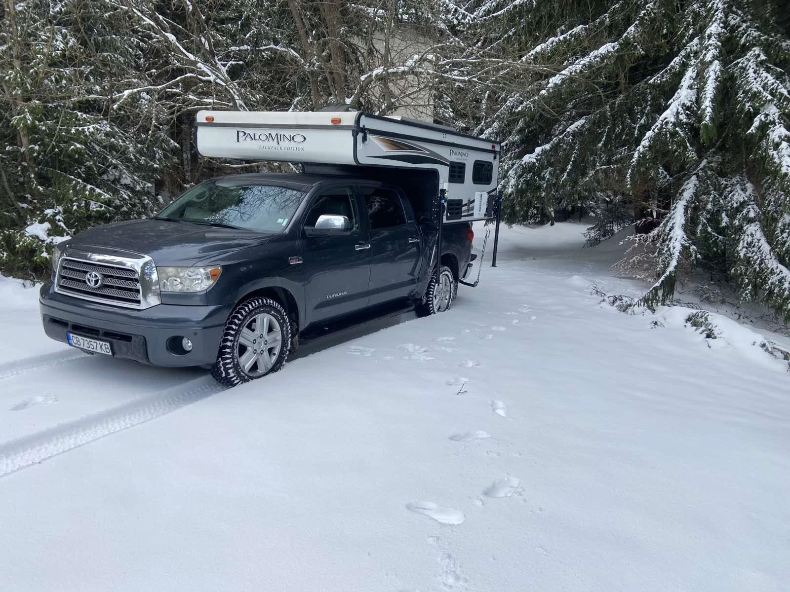 ������ Palomino | Mobile.bg � ����������� 2