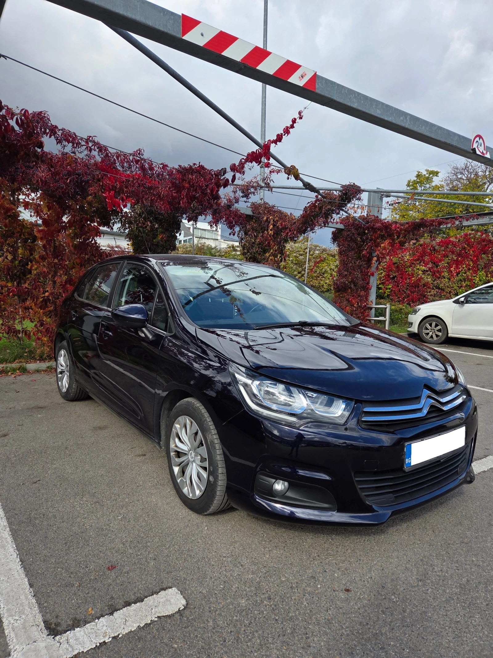 Citroen C4, снимка 2 - Автомобили и джипове - 56622456