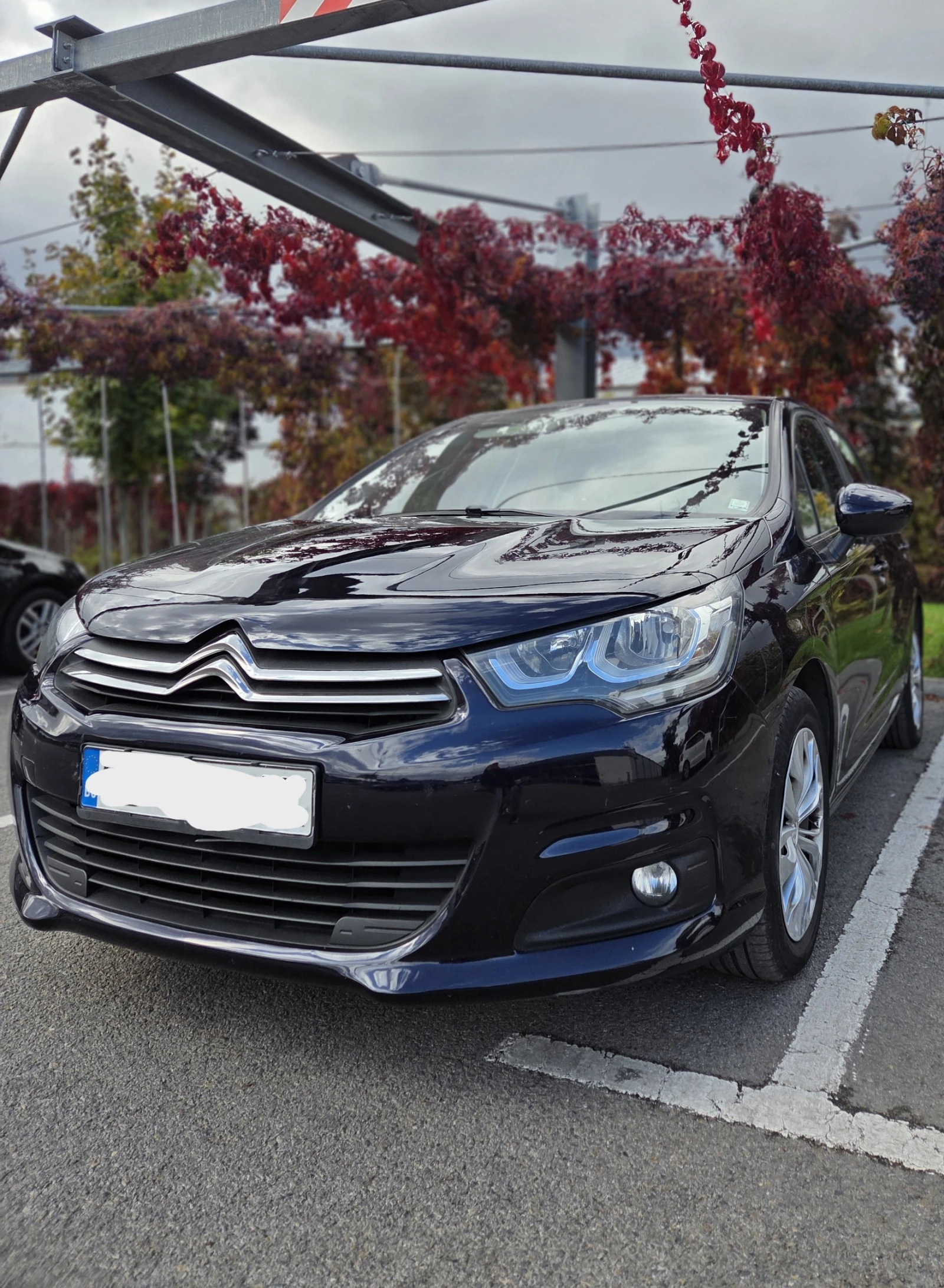 Citroen C4, снимка 5 - Автомобили и джипове - 56622456