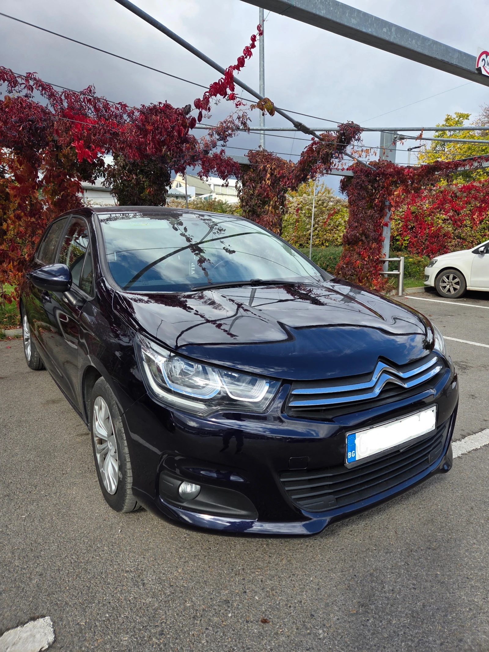 Citroen C4, снимка 4 - Автомобили и джипове - 56622456