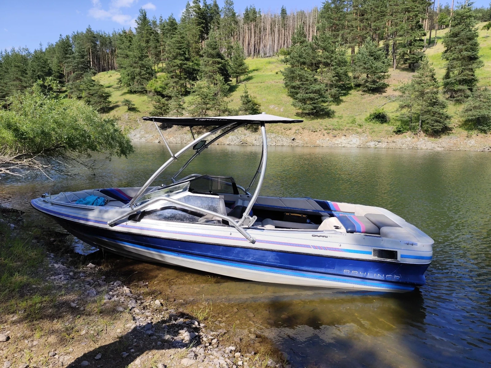 Лодка Bayliner V8 5.0 - изображение 2