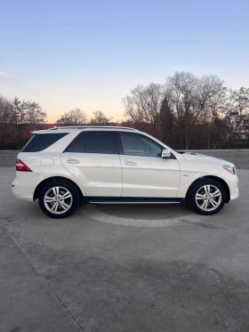 Mercedes-Benz ML 350 AMG LINE | Mobile.bg    4