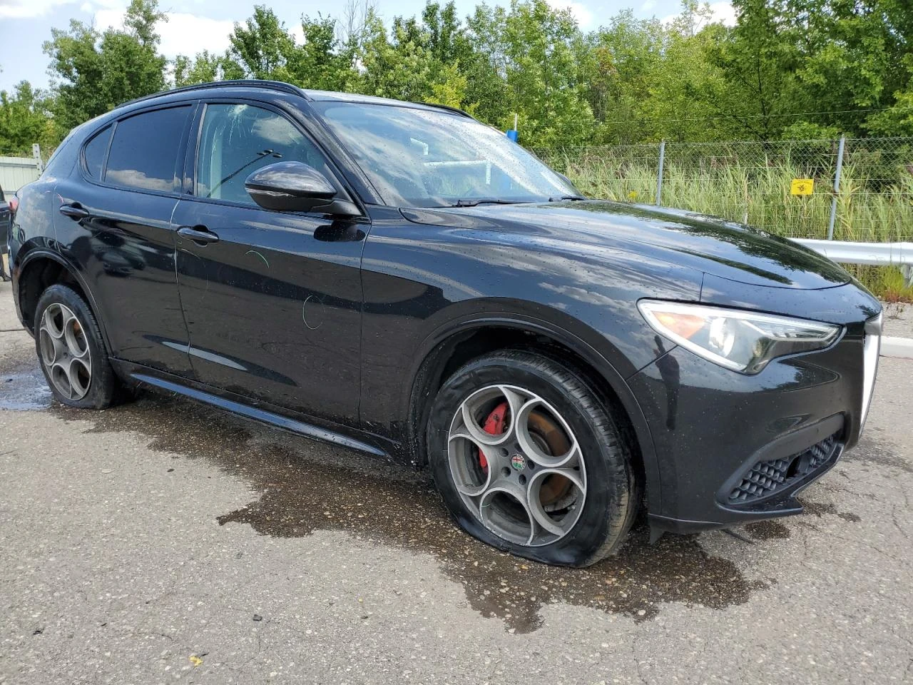 Alfa Romeo Stelvio !!УНИКАТ!! #ПЪЛНО ОБОРУДВАНЕ# !ПАНОРАМА, снимка 3 - Автомобили и джипове - 55041953