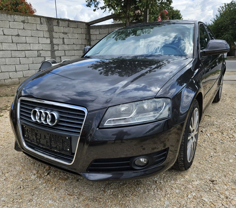 Audi A3 1.6 I.. FACE, снимка 3 - Автомобили и джипове - 47699137