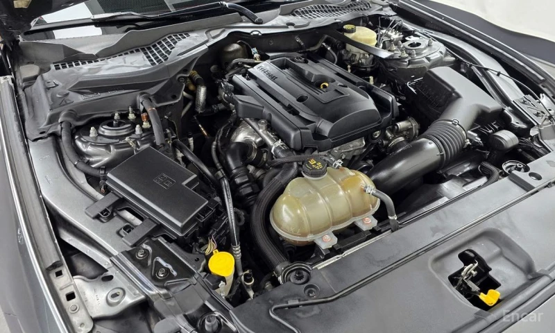 Ford Mustang, снимка 6 - Автомобили и джипове - 53455445