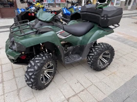  Kawasaki Brute Force