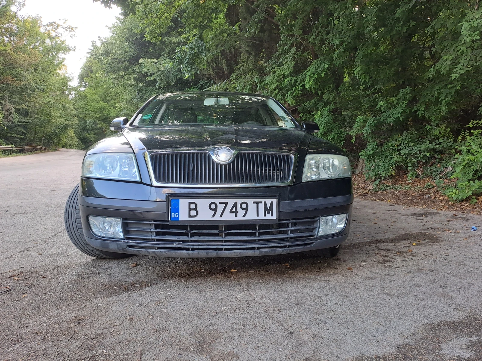 Skoda Octavia  - изображение 3
