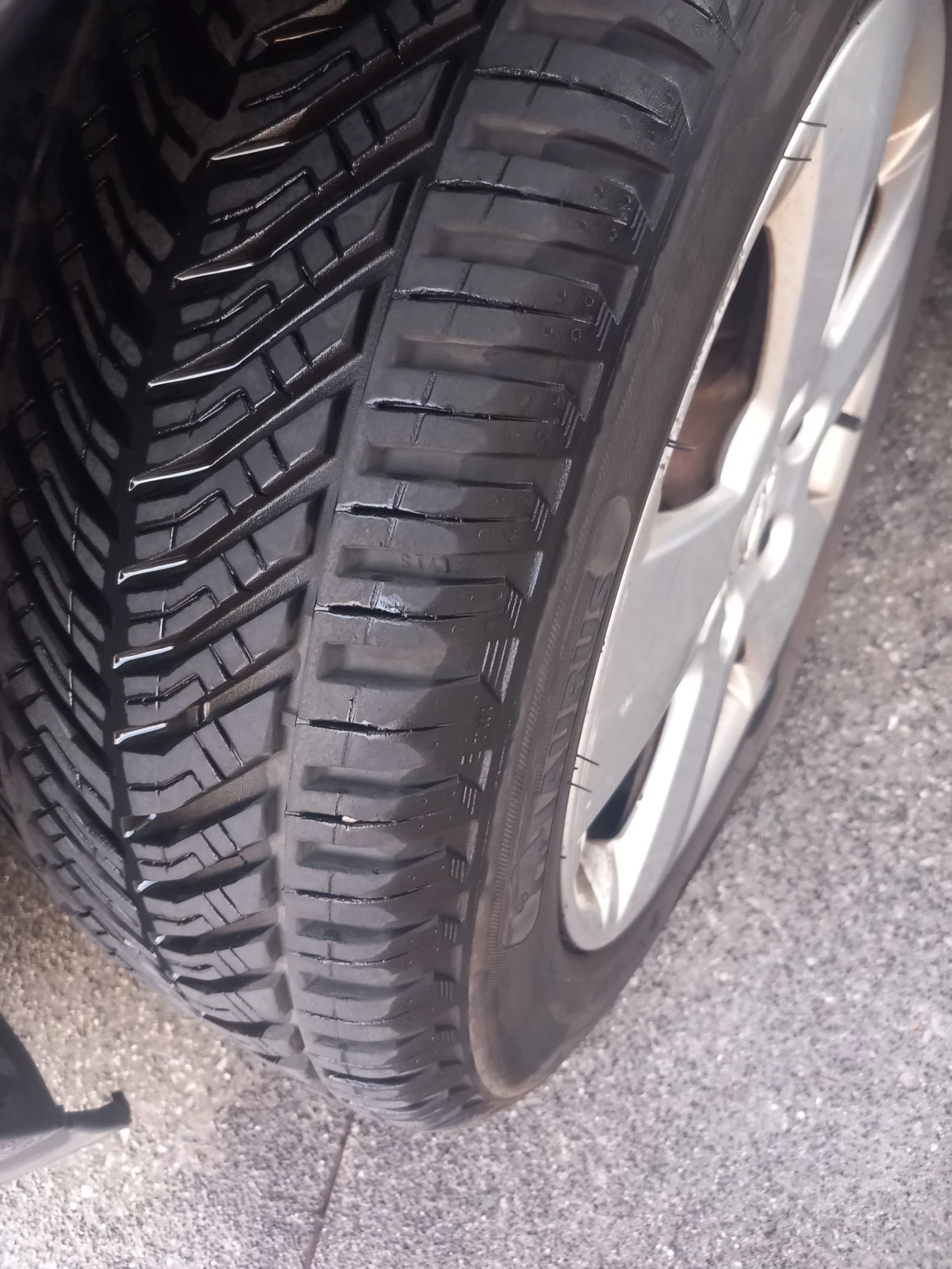 Opel Signum 2.2 direct , снимка 3 - Автомобили и джипове - 56714487