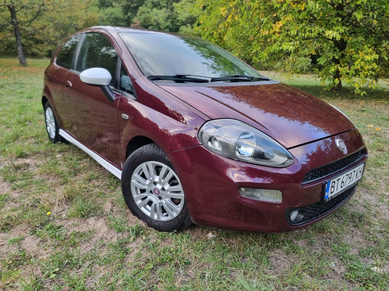 Fiat Punto  - изображение 3