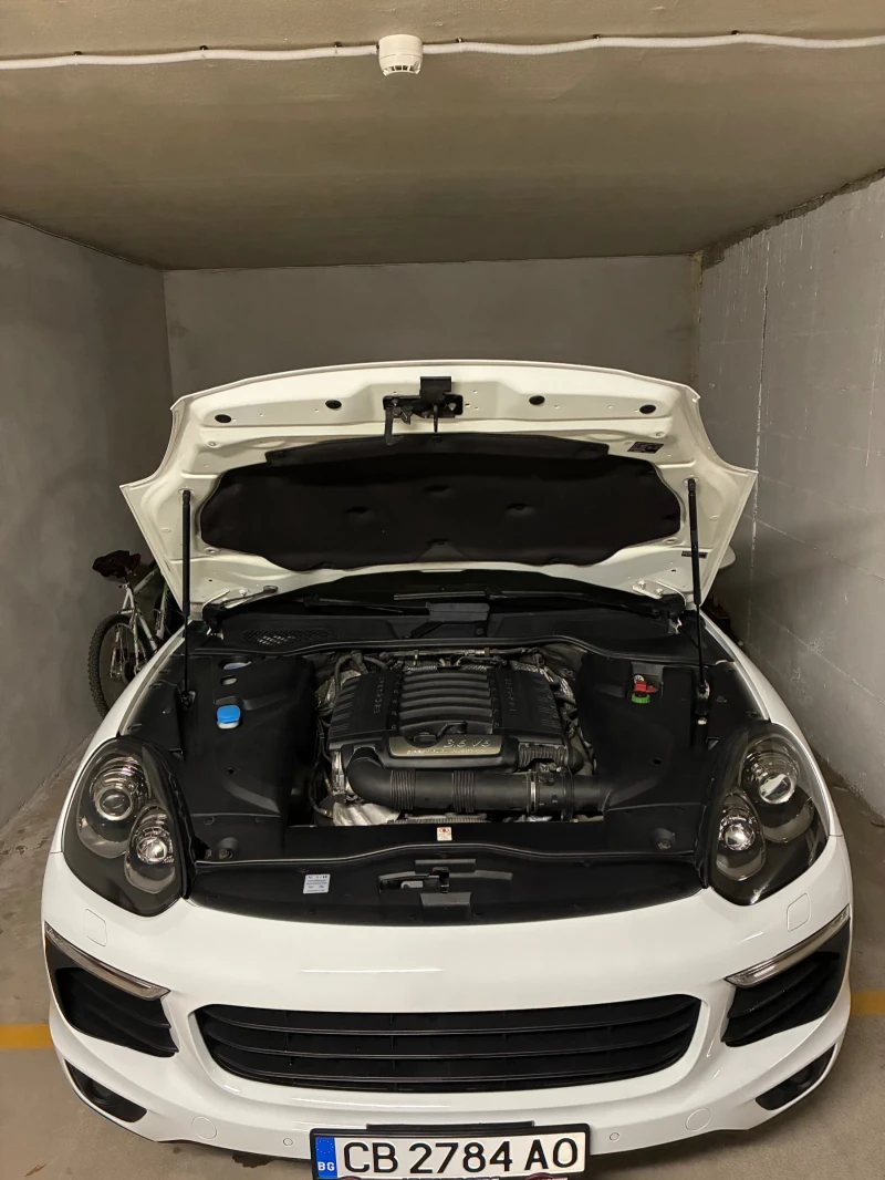 Porsche Cayenne 3.6 Platinium Edition, снимка 3 - Автомобили и джипове - 51904168
