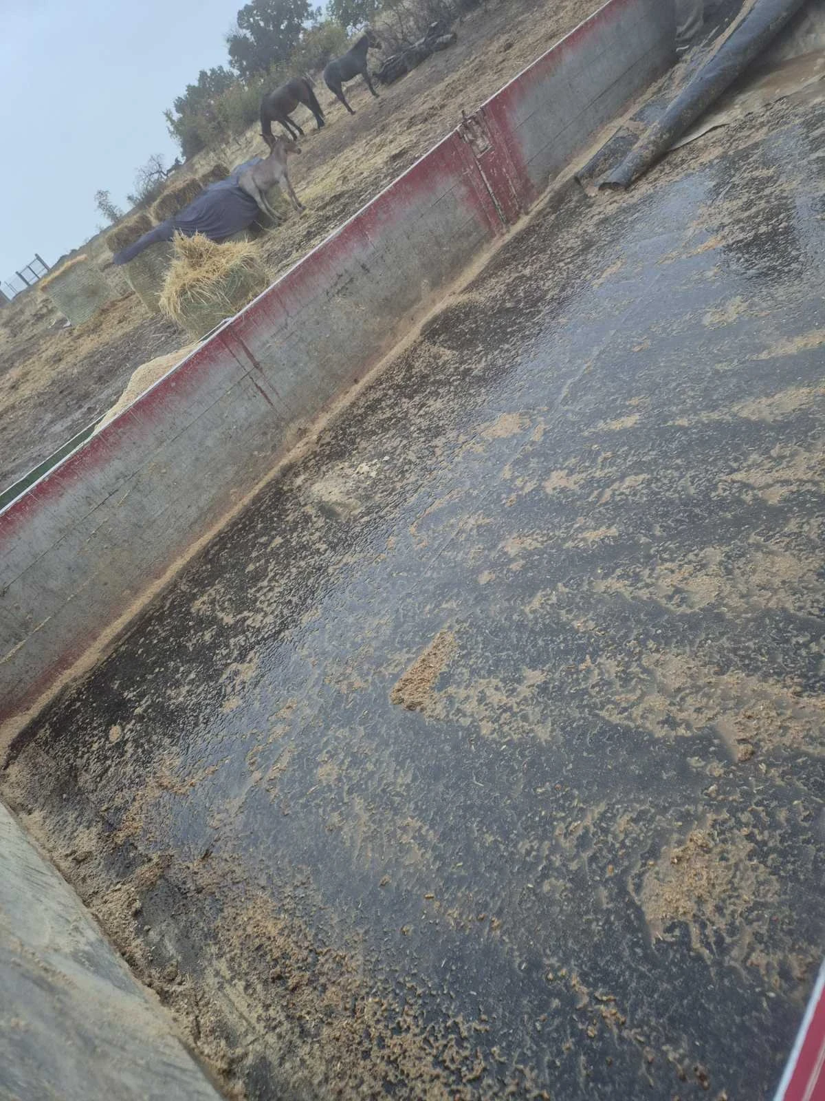 Mercedes-Benz 811 Eco Pawer - изображение 4