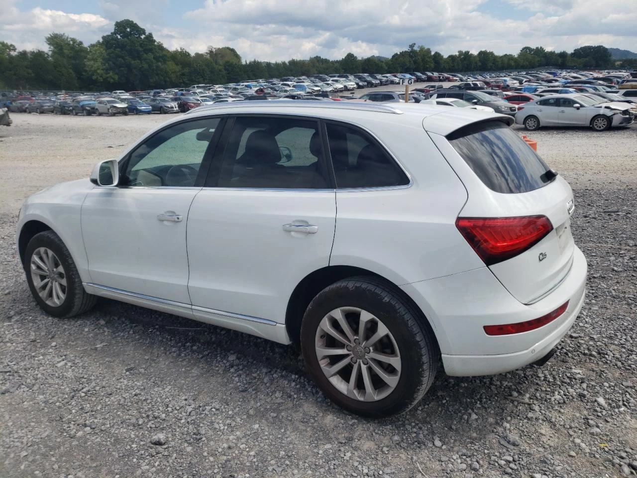 Audi Q5 PREMIUM PLUS 2.0T - изображение 3