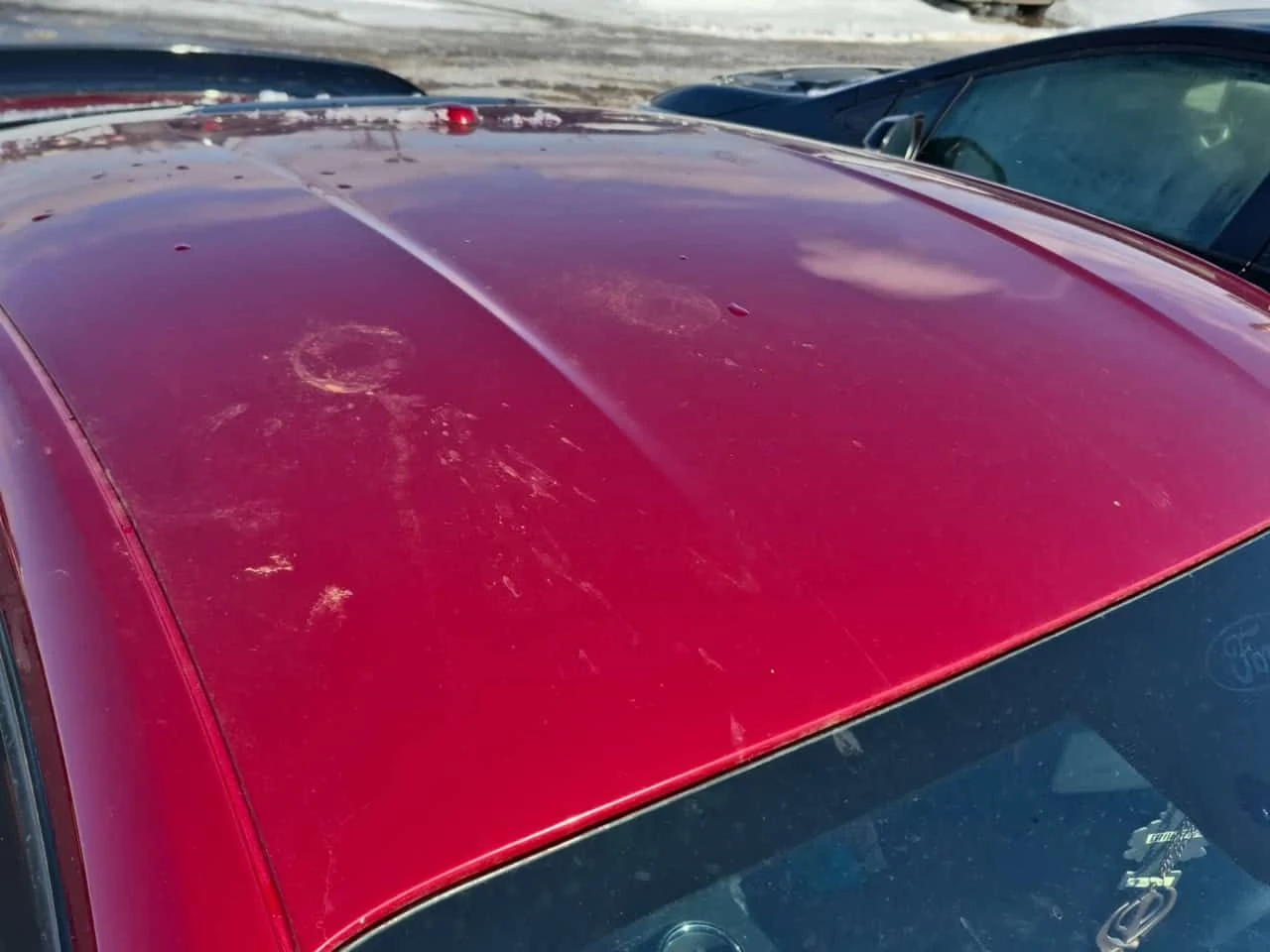 Ford Mustang GT PREMIUM /CARFAX/ОБДУХ/ПОДГРЕВ/НА ЗАДНО, снимка 5 - Автомобили и джипове - 53959506