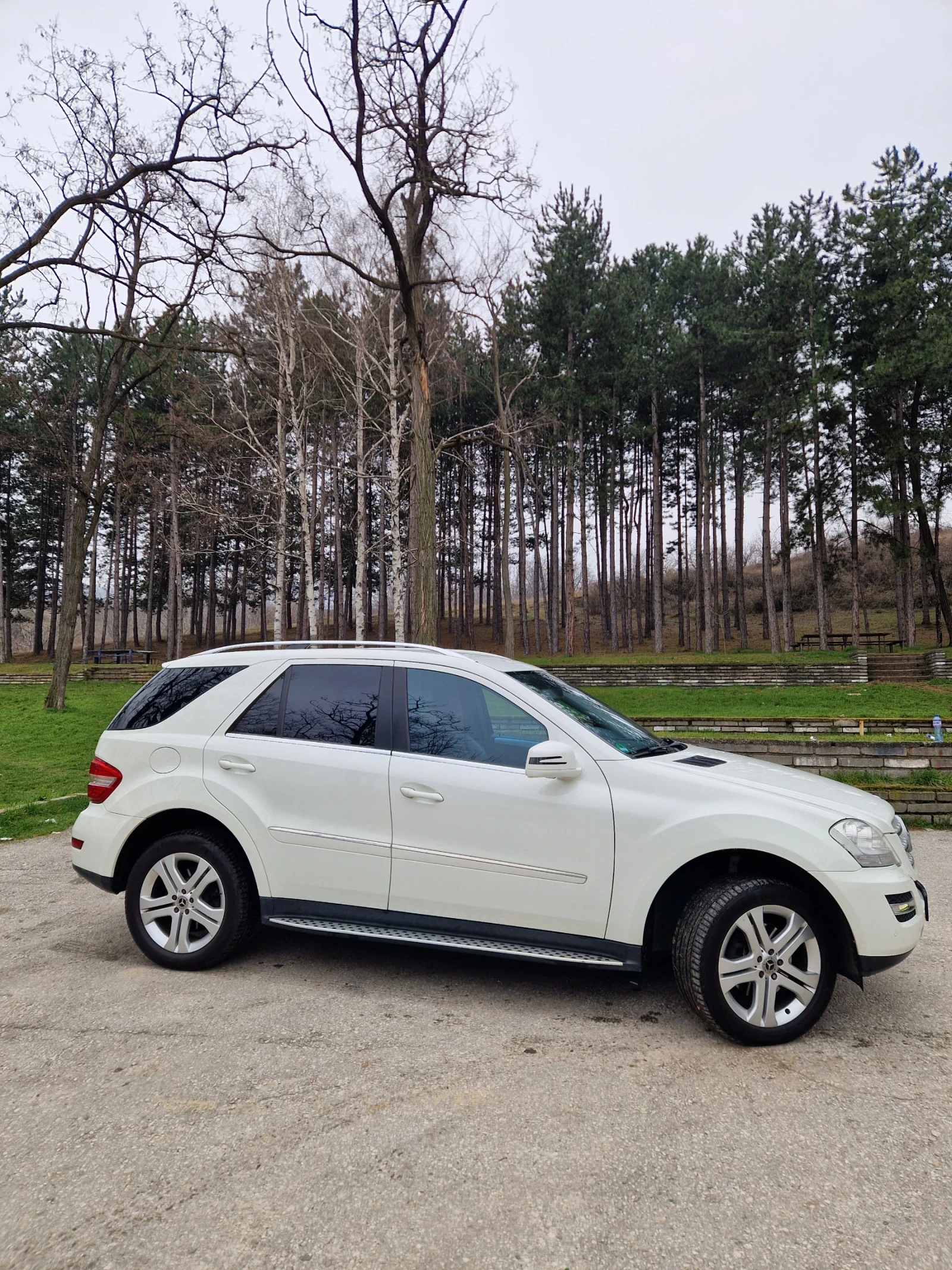Mercedes-Benz ML 350 4 MATIC  | Mobile.bg � ����������� 6