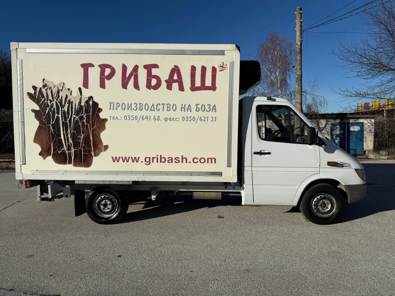 Mercedes-Benz Sprinter 313 Хладилен, снимка 4 - Бусове и автобуси - 53114583