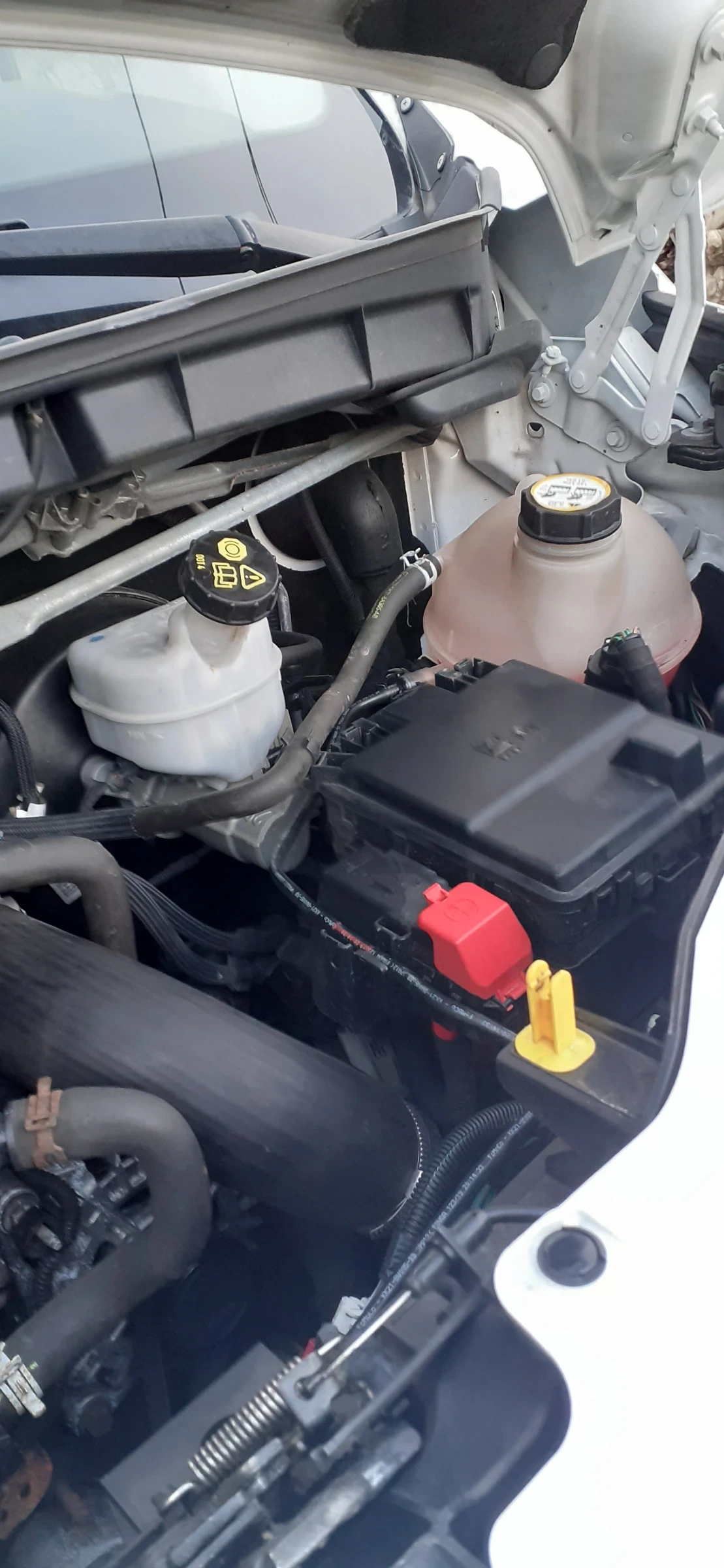 Ford Transit 2, 0 EcoBlue , Maxi  �������  | Mobile.bg � ����������� 17