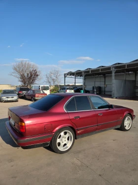 BMW 520 undefined | Auto.bg — изображение 2