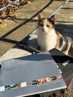 Audi A3 - 12000 лв. / 6135.50 € - 28002118 9