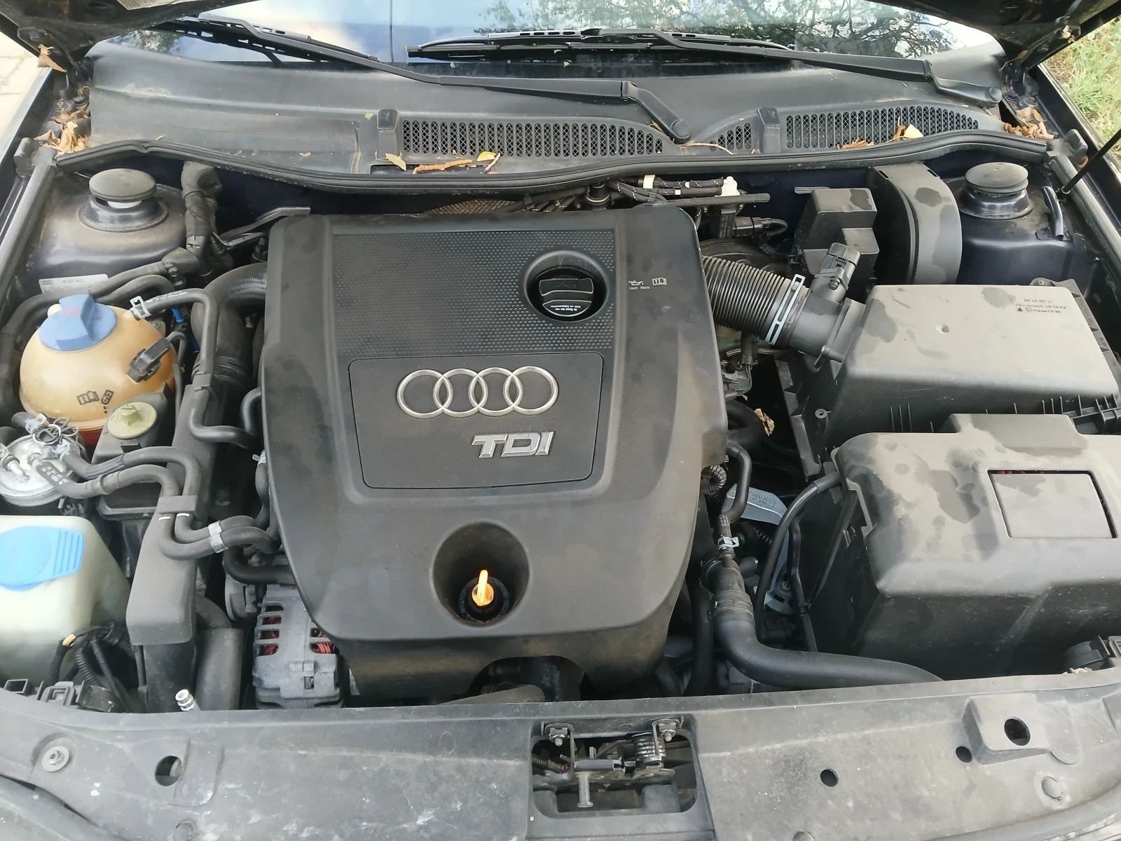 Audi A3 101 - изображение 5