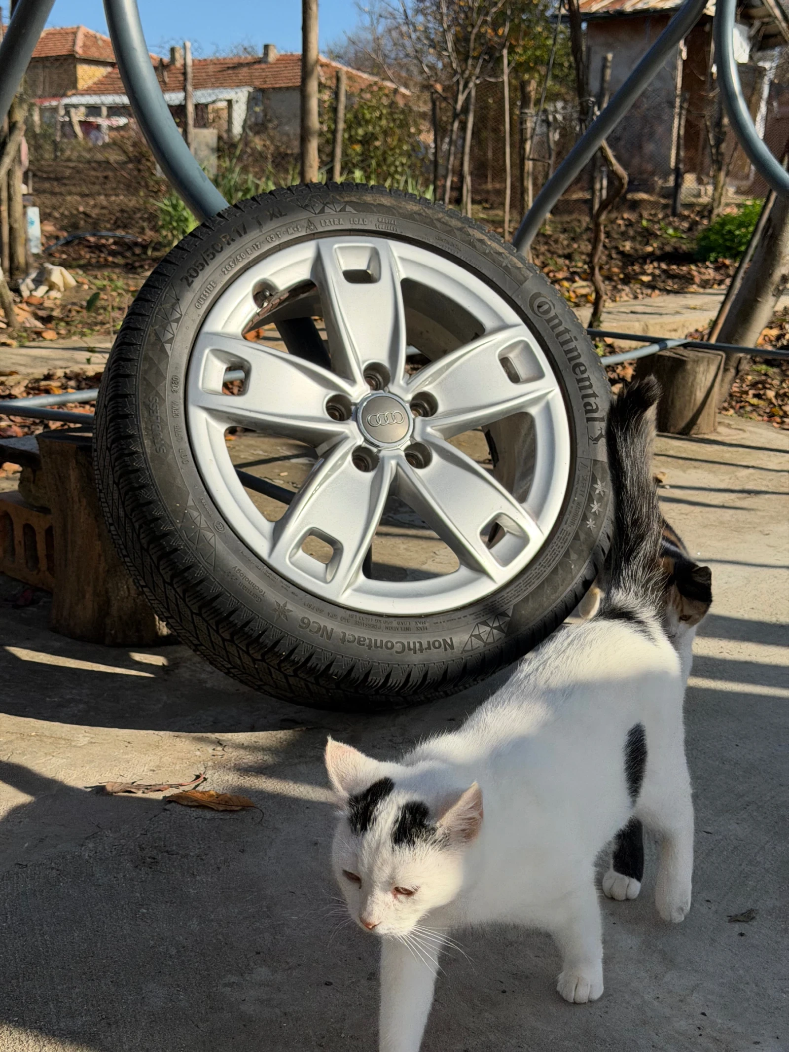 Audi A3  - изображение 10