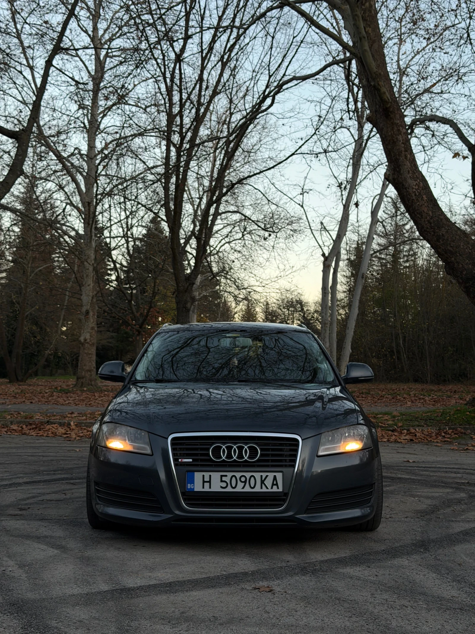 Audi A3  - изображение 2