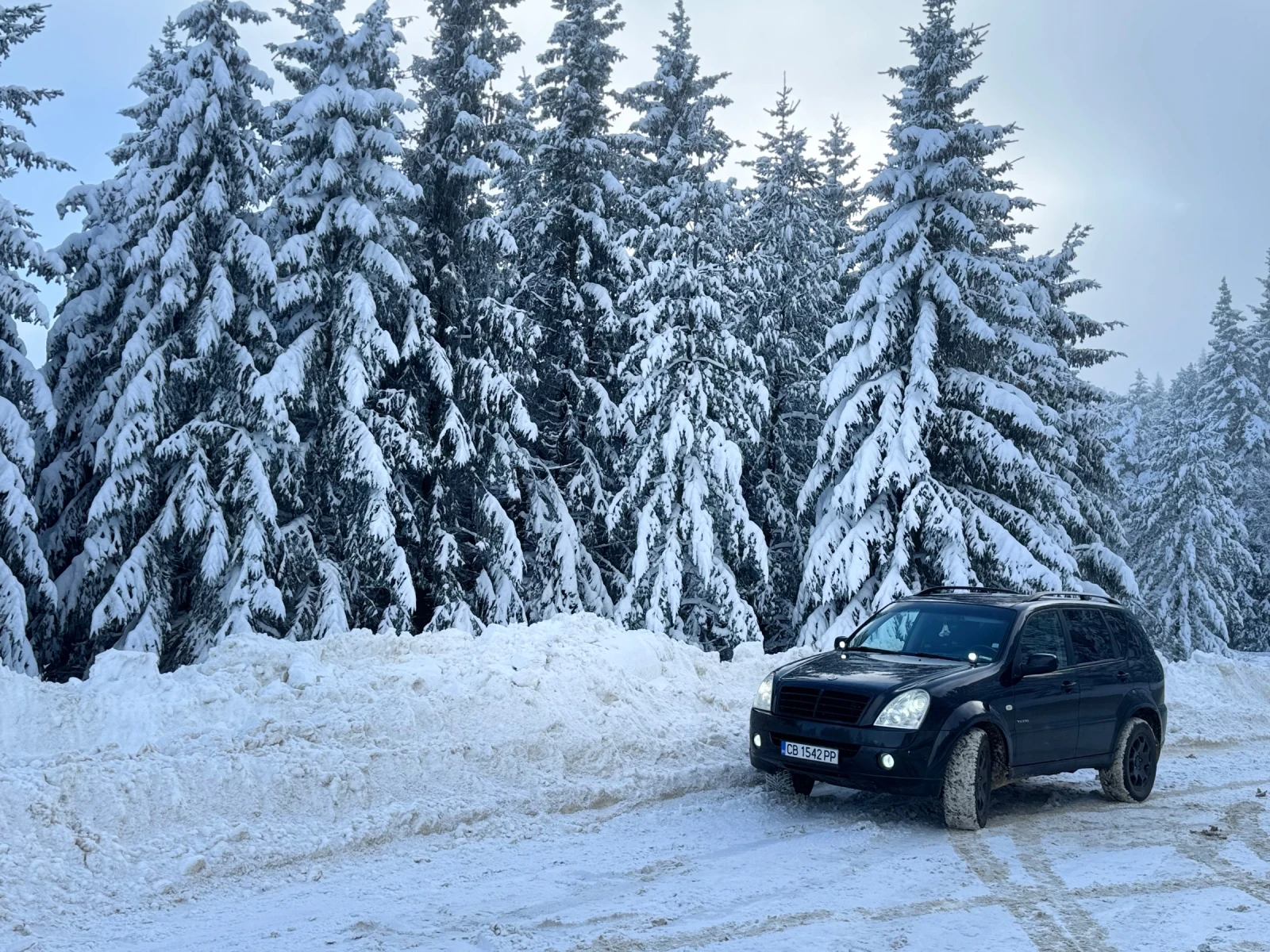 SsangYong Rexton, снимка 17 - Автомобили и джипове - 56348748