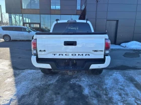 Toyota Tacoma * TRD * CARFAX * KEYLESS * ДВА КЛЮЧА, снимка 4 - Автомобили и джипове - 53695554