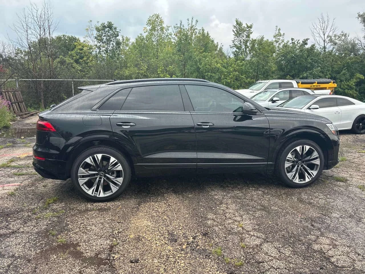 Audi Q8 * Progressiv * CARFAX * ОПЦИЯ ЗА ФИНАНСИРАНЕ, снимка 3 - Автомобили и джипове - 55647542