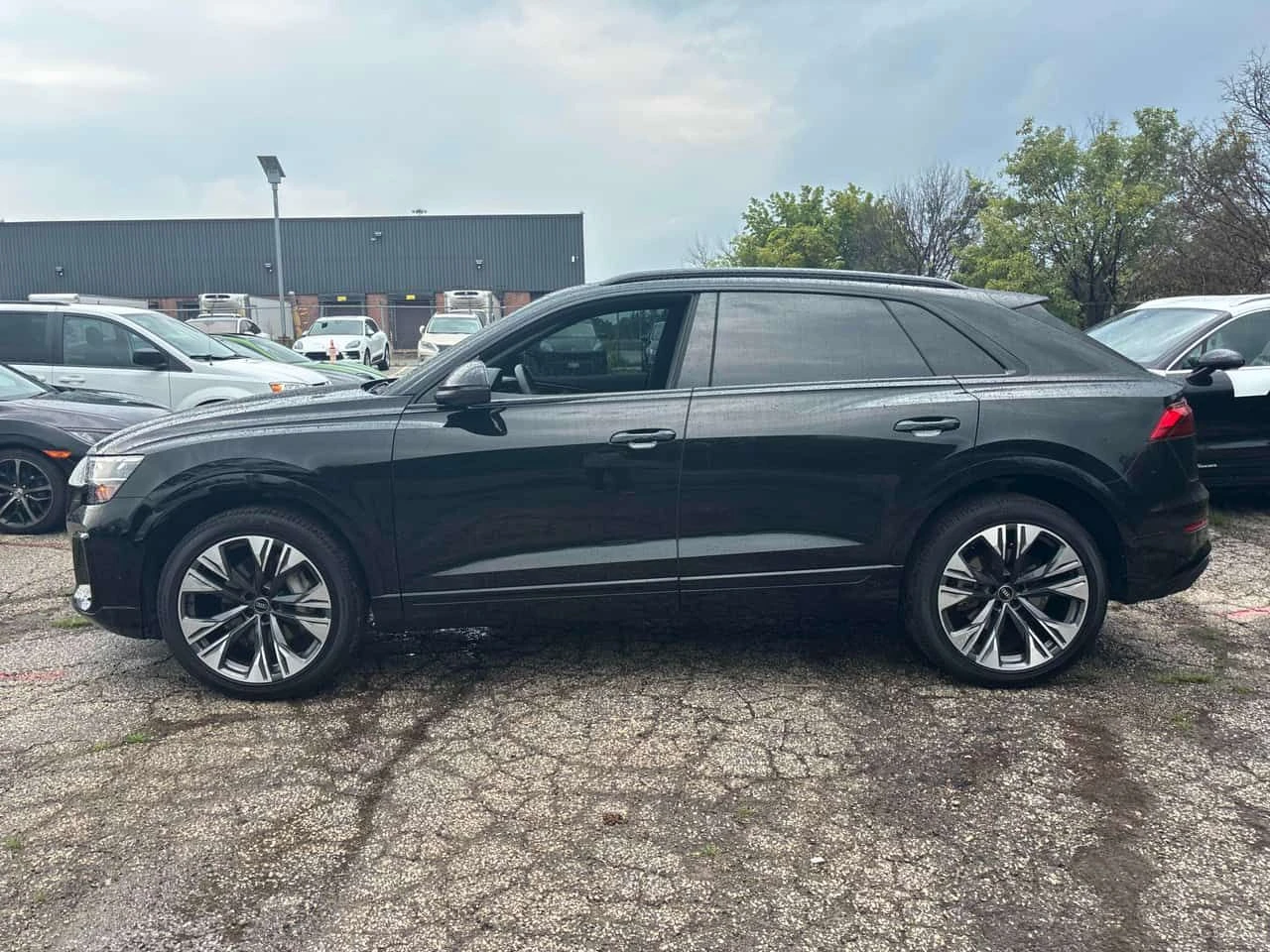 Audi Q8 * Progressiv * CARFAX * ОПЦИЯ ЗА ФИНАНСИРАНЕ, снимка 2 - Автомобили и джипове - 55647542