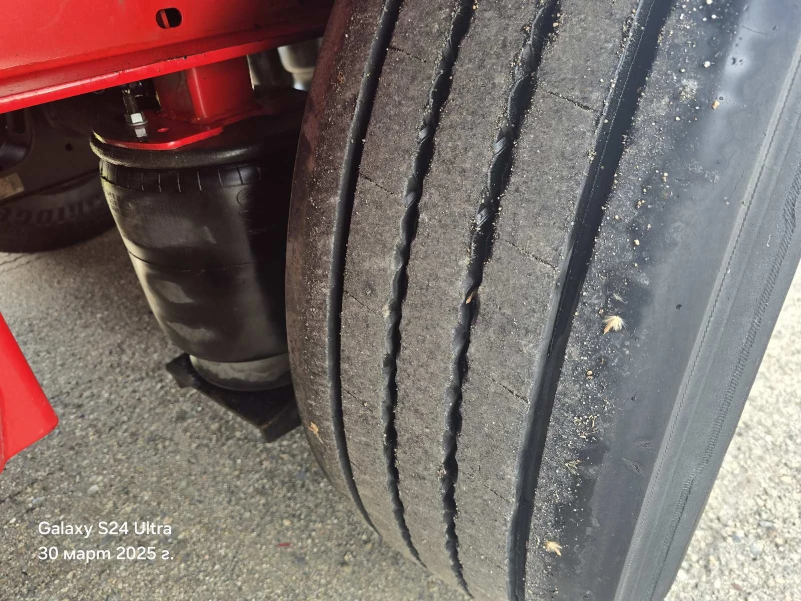  Koegel | Mobile.bg   14