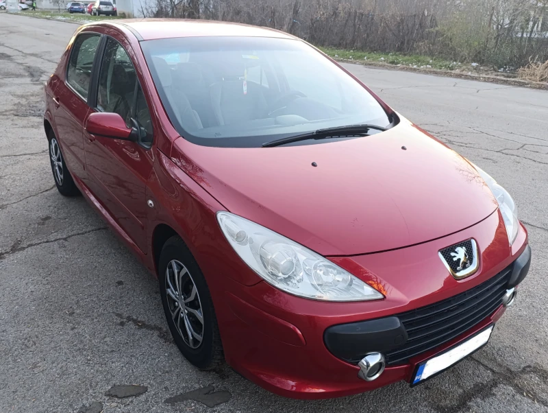 Peugeot 307 1.6 Газ, снимка 3 - Автомобили и джипове - 48730249