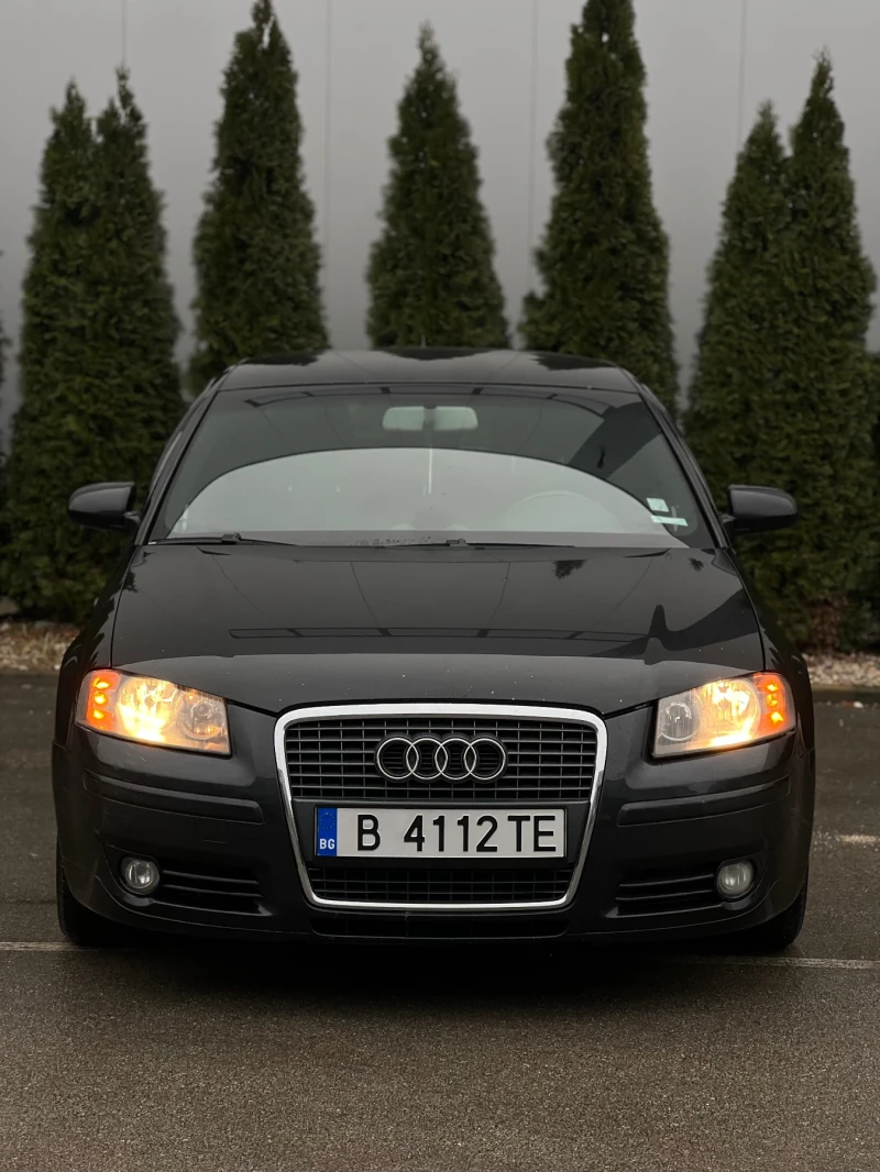 Audi A3 Уникат;2.0TDI;6скорости, снимка 2 - Автомобили и джипове - 53512128