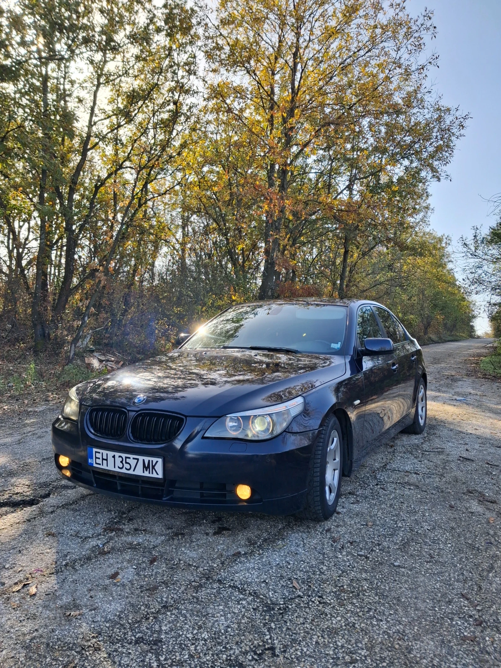 BMW 530  - изображение 6