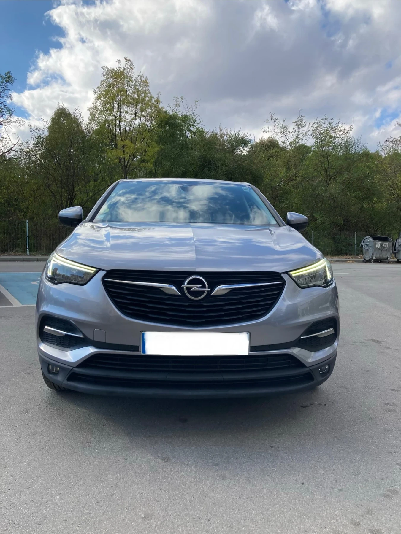 Opel Grandland X Turbo D ��������� | Mobile.bg � ����������� 1